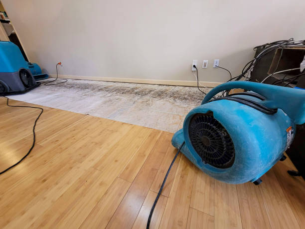 Professional Basement Flood Cleanup technician working in Harlem, GA